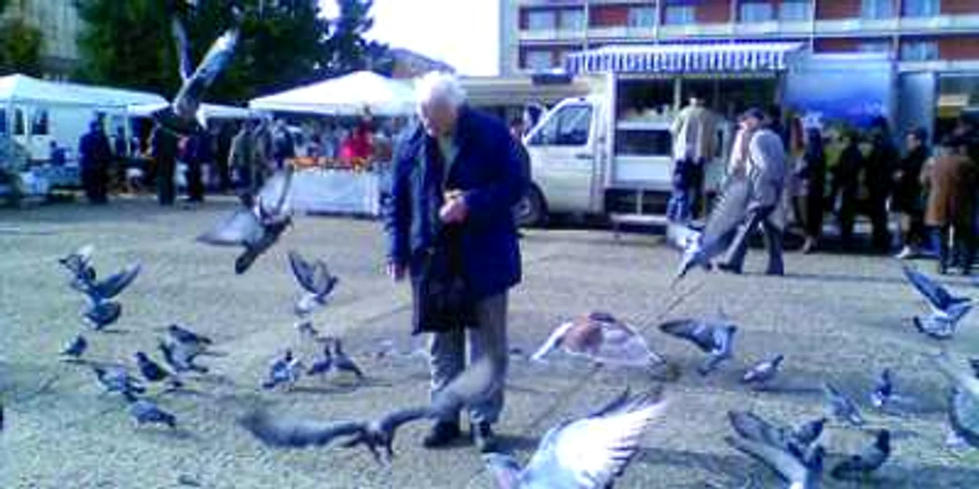 Baia Mare, raiul porumbeilor