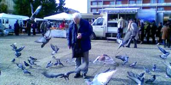 Baia Mare, raiul porumbeilor
