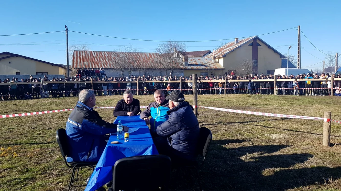 Un juriu stabilește ierarhia FOTO: Roxana Mihalache