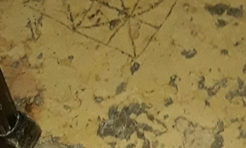 1 85024 original jpg jpeg