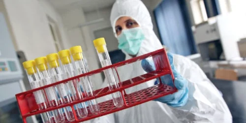 Linia tehnologică a institutului trebuie modernizată