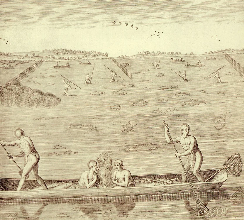 Pescari algonchini. Gravură de Theodor de Bry, după o acuarelă de John White