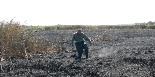Incendiul de la Vadu (sursa foto: ARBDD)