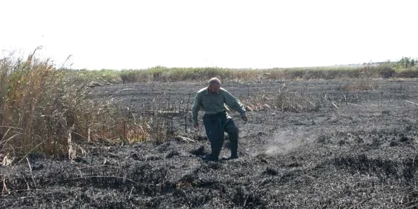 Incendiul de la Vadu (sursa foto: ARBDD)