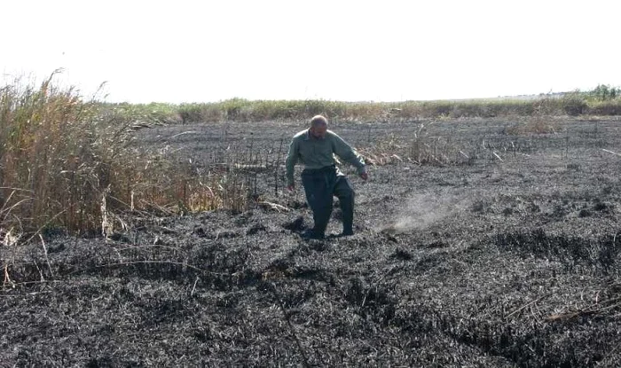 Incendiul de la Vadu (sursa foto: ARBDD)