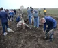 Plantare pomi la Costinesti. FOTO Adrian Boioglu