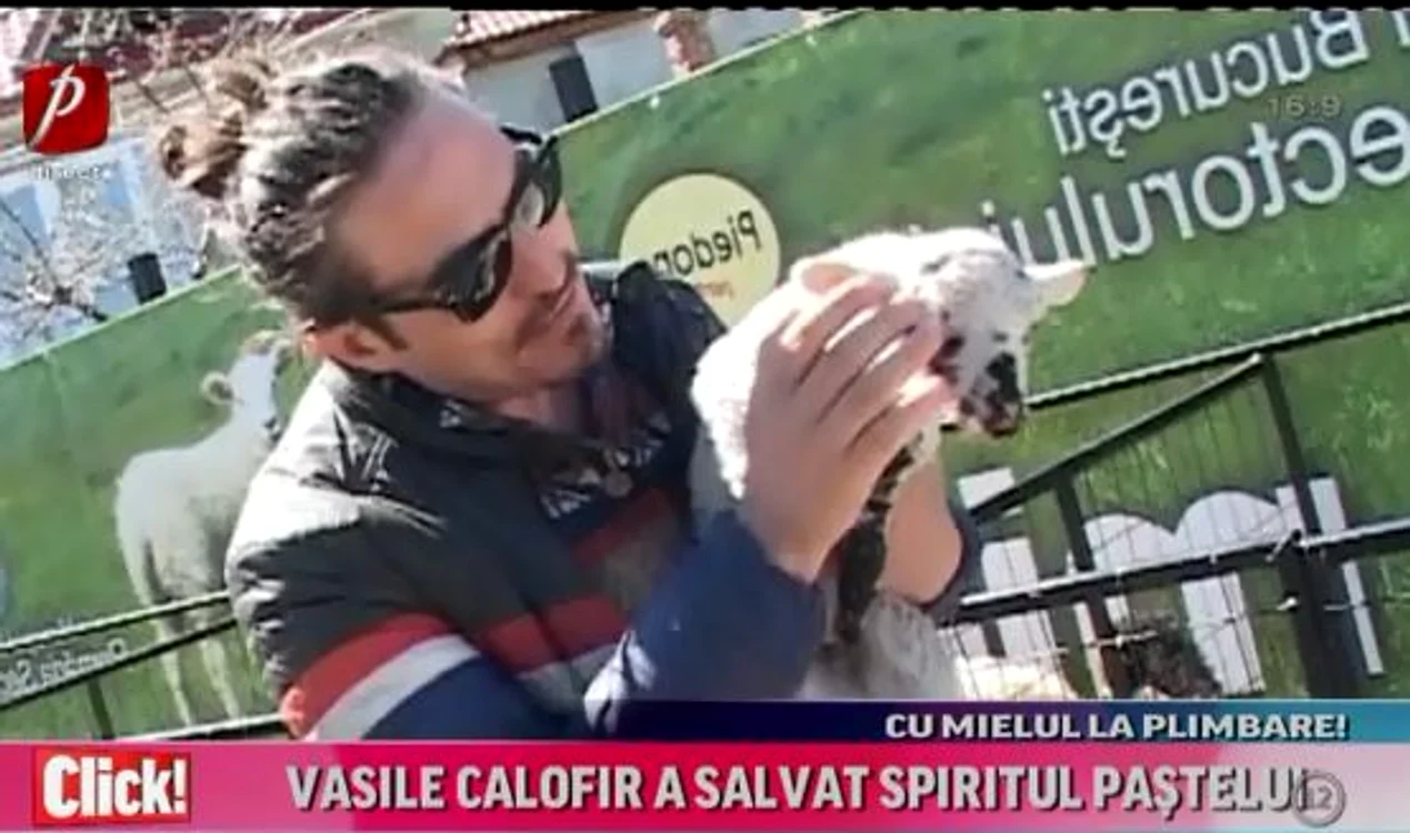 
    Vasile Calofir, la plimbare cu mielul, prin CapitalăFoto: arhivă personală  