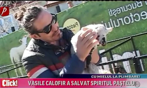 vasile calofir jpeg