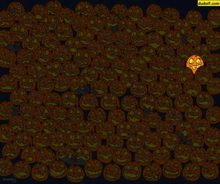 Rezolvarea testului / foto: dudolf.com