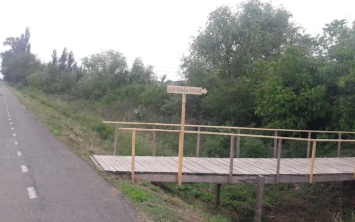 Aventură La plaja nouă