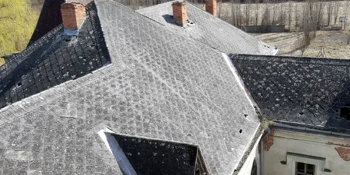 castelul nopcea hunedoara foto daniel guta adevarul