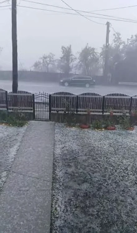 Grindina din satul Dedulești, Argeș