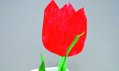 1 75013 original jpg jpeg