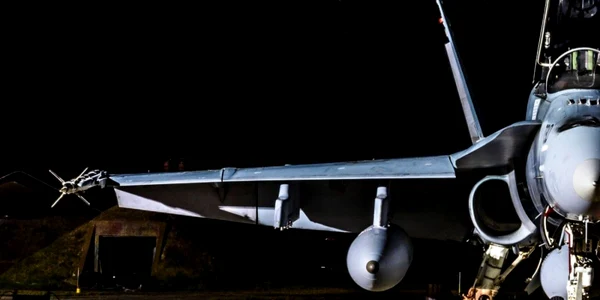 hornet
