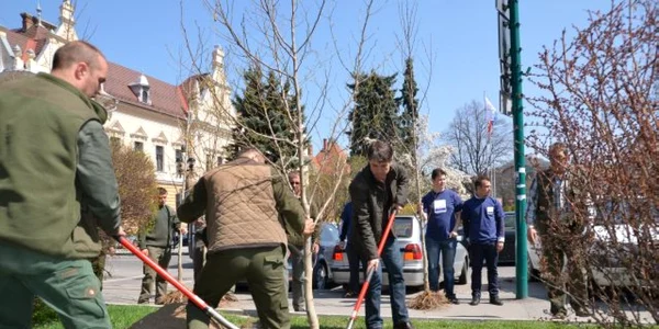 brasov plantari