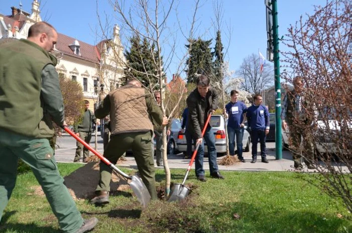 Foto: Andrei Paul, Primăria Braşov