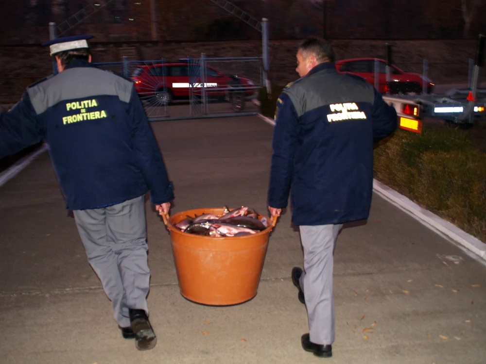 Întreaga cantitate de peşte a fost confiscată FOTO STPF Mehedinţi