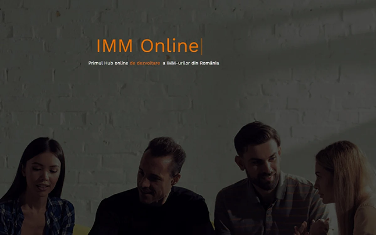 Program IMM Online