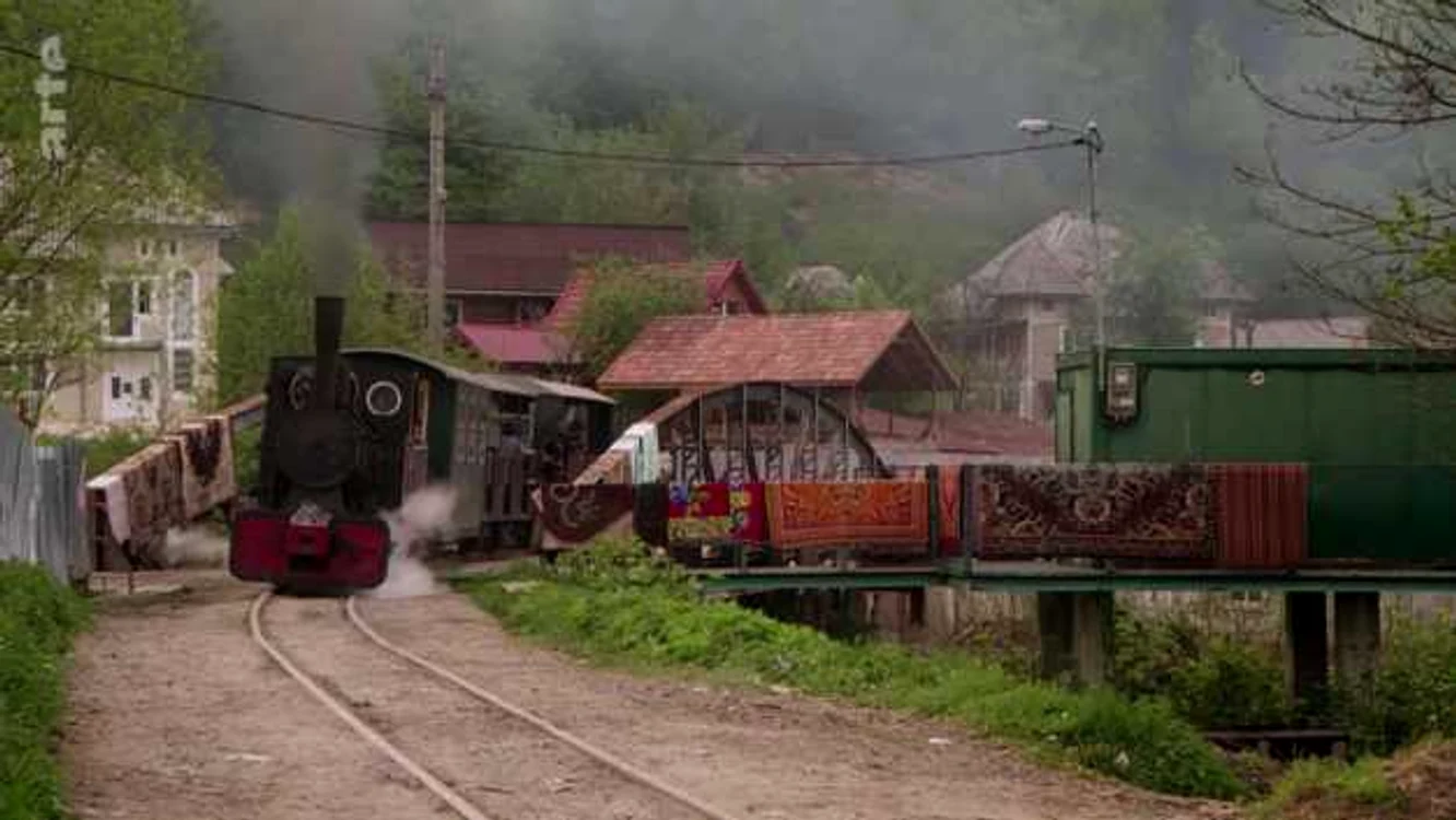 Mocăniţa prin cartierul Dăroaia din Gura Roşiei