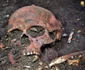 Cercetări arheologice la tumulii din Băicoi (© Muzeul Județean de Istorie și Arheologie Prahova)