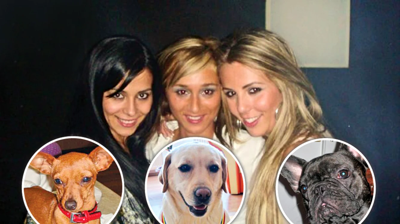 
    Pinsher-ul lui  Dani şi Daniela; Elodie, soţia lui Tony, are grijă de labradorul în vârstă de 4 ani; Rodolfo, buldogul  francez al lui Cadu, îi ţine  de urât lui Dulce  
