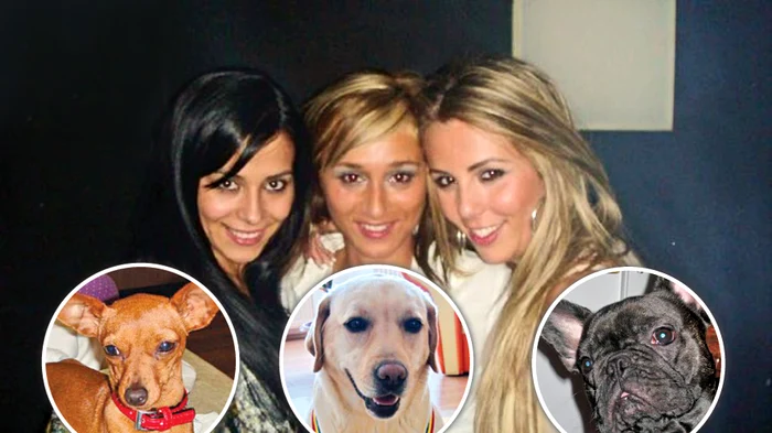 
    Pinsher-ul lui  Dani şi Daniela; Elodie, soţia lui Tony, are grijă de labradorul în vârstă de 4 ani; Rodolfo, buldogul  francez al lui Cadu, îi ţine  de urât lui Dulce  