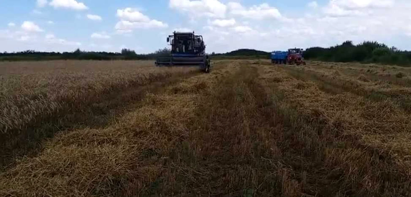 Fermierii mici, sprijiniţi de stat FOTO Adevărul