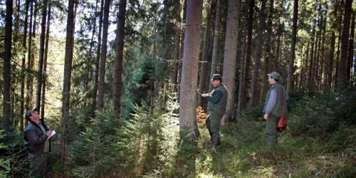  Ingineri Romsilva la marcat FOTO punctul.ro