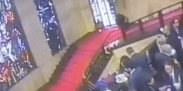 sacri gif gif