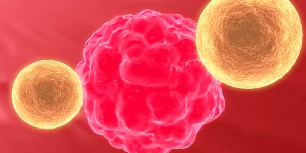 celula cancer
