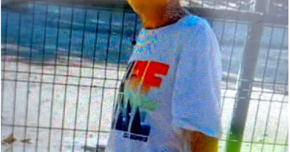 Un băiat de 11 ani dispărut în Dâmbovița a fost găsit după o amplă căutare.