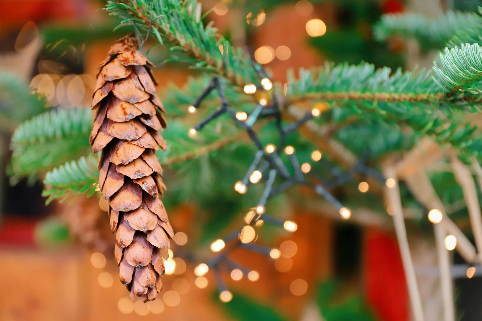 Simboluri norocoase pe care să le ai în casă la final de an