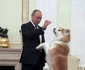 Vladimir Putin avere sporturi hobby (6) jpeg