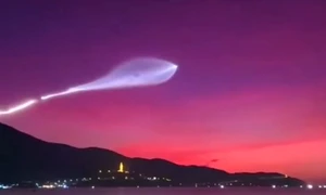 medusa spatiala jpg