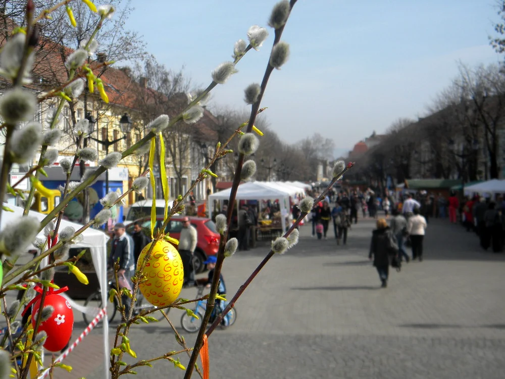 Crenguţele de mâţişori şi forsythia sunt simbolul târgului de paşte săsesc 