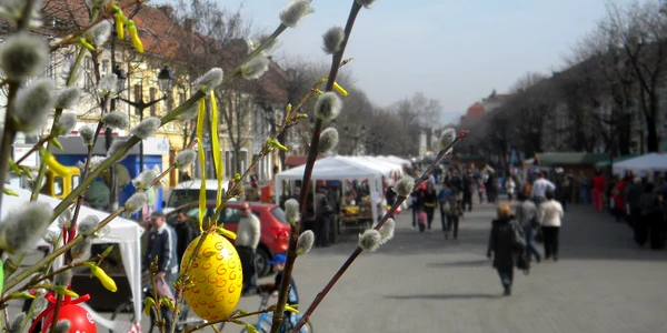 Crenguţele de mâţişori şi forsythia sunt simbolul târgului de paşte săsesc 