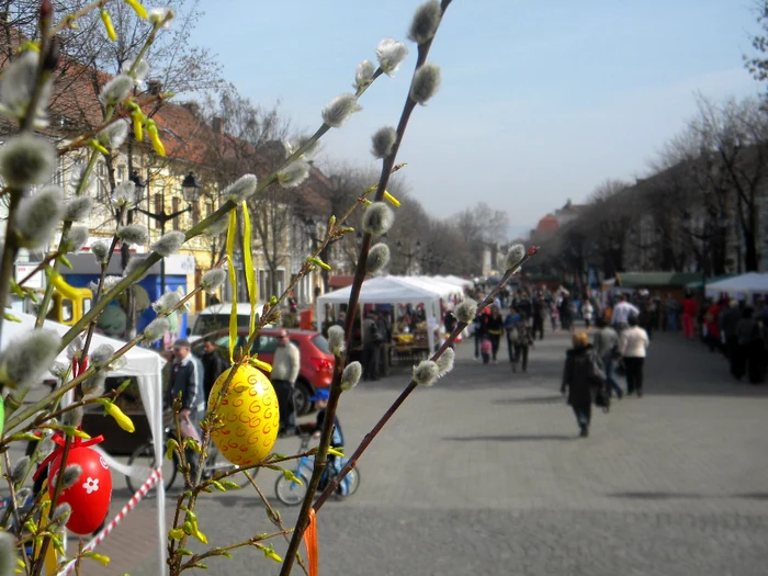 Crenguţele de mâţişori şi forsythia sunt simbolul târgului de paşte săsesc 