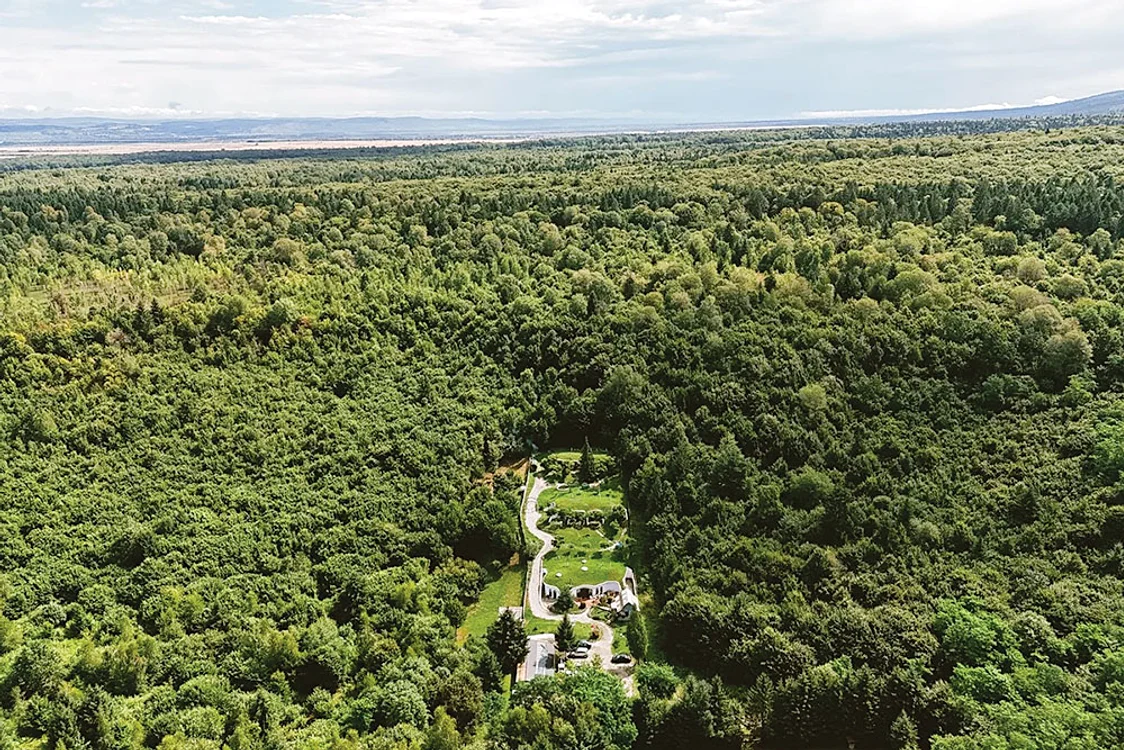 Locuințele sunt  înconjurate de o  pădure deasă