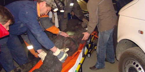 Treisprezece mineri şi-au pierdut viaţa în accidentul din 2008 de la E.M Petrila