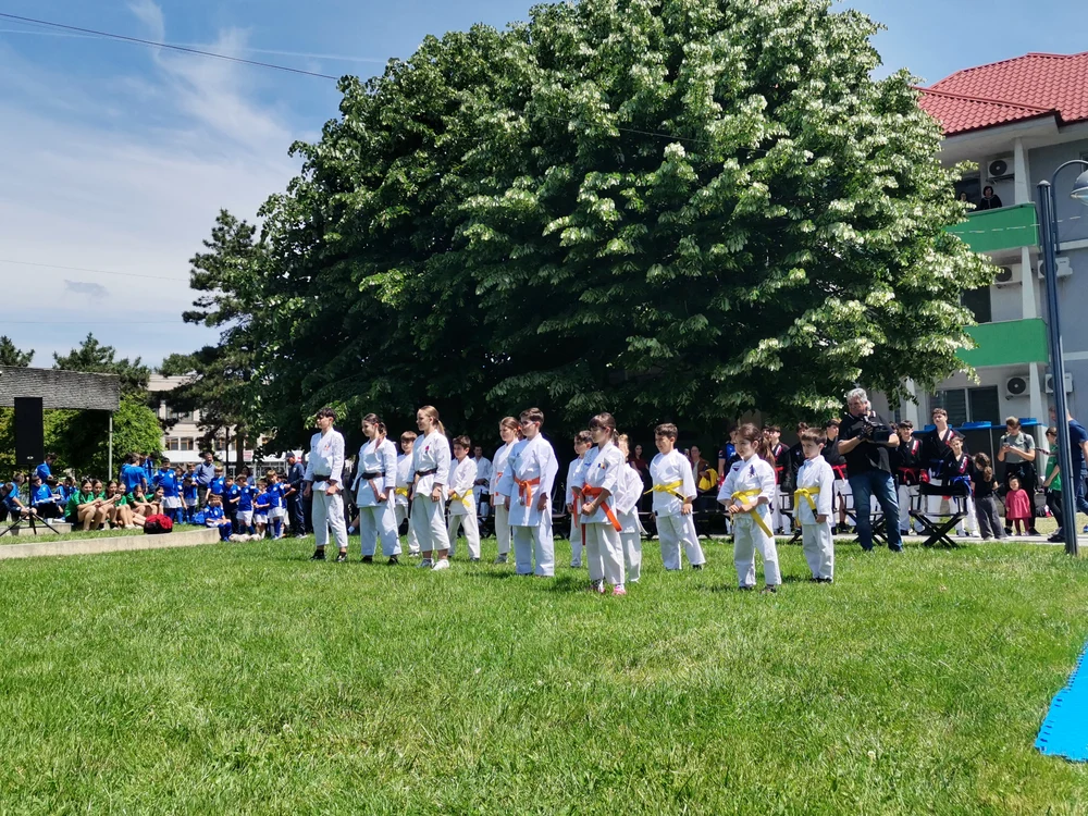 karatisti_copii_pregatesc_demonstratia_pe_iarba_foto_alina_mitran
