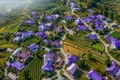 insula violet coreea de sud instagram jpg