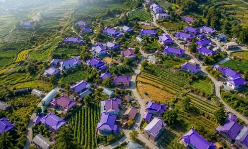 insula violet coreea de sud instagram jpg