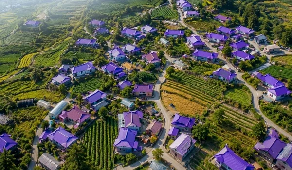 insula violet coreea de sud instagram jpg