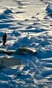 epava avion alaska jpg
