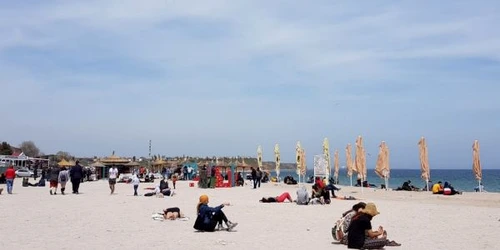 vama veche