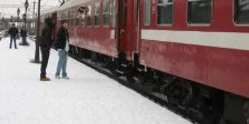 Trenurile au avut întârzieri de sute de minute