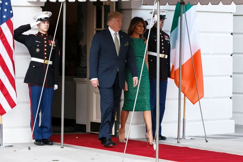 Rose Garden for St Patrick's Day jpeg