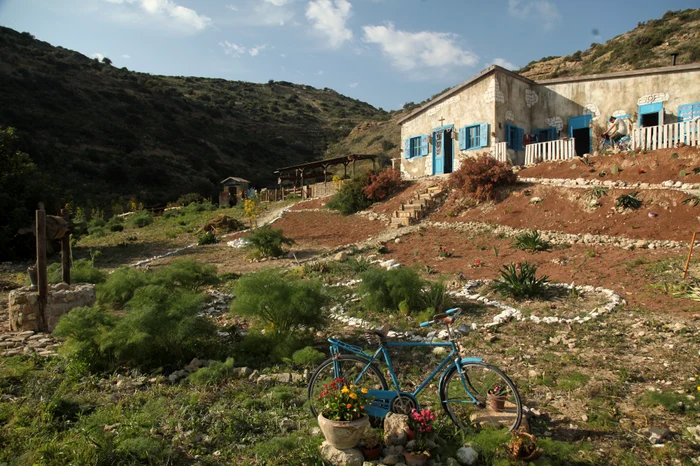 Cum s-a transformat Ferma Vedetelor