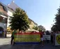 protest paduri sibiu 7.06.2015