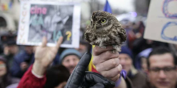 Proteste Cotroceni ziua 2 / FOTO Inquam Photos / Octav Ganea